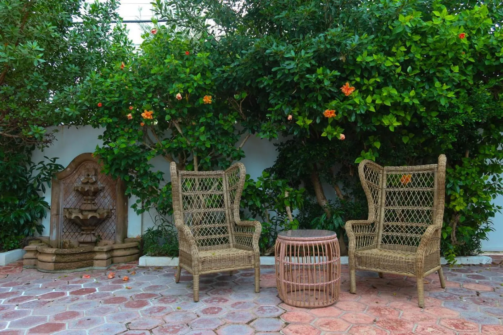 סן חואן Casa Tortuga Ocean Park Villa סן חואן